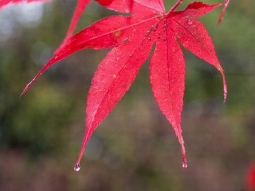 30分钟的喷泉视频