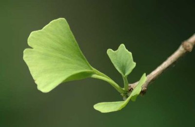 三根茎可以入一洞的视频